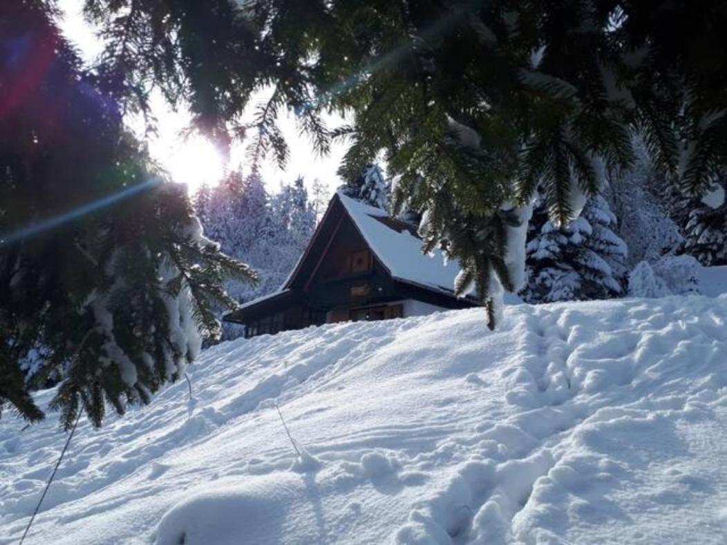 Fairytale Cottage - Peaceful Getaway Near Bled Zgornje Gorje Bagian luar foto